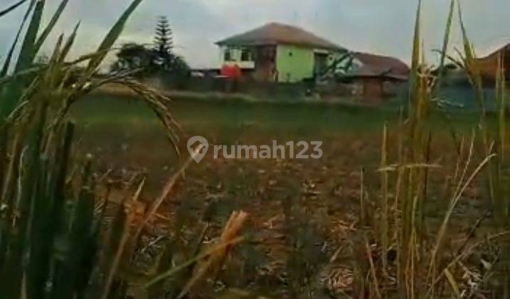 Tanah 1.300 m² di Dermaga Bogor (Dekat IPB) 1