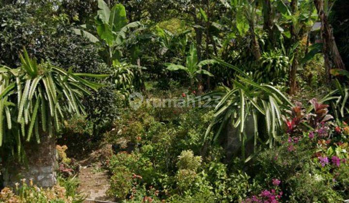 Dijual Tanah di Jalan Gintungan Raya Bandungan Ambarawa 1