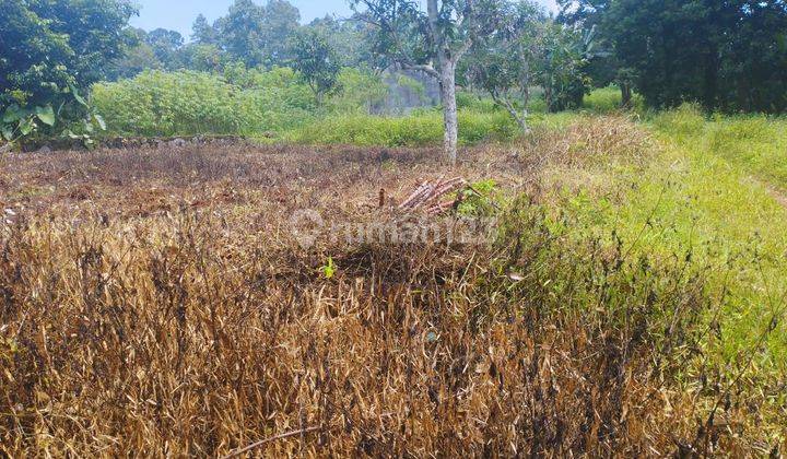 Dijual Tanah di Palir Raya Ngaliyan Semarang  1