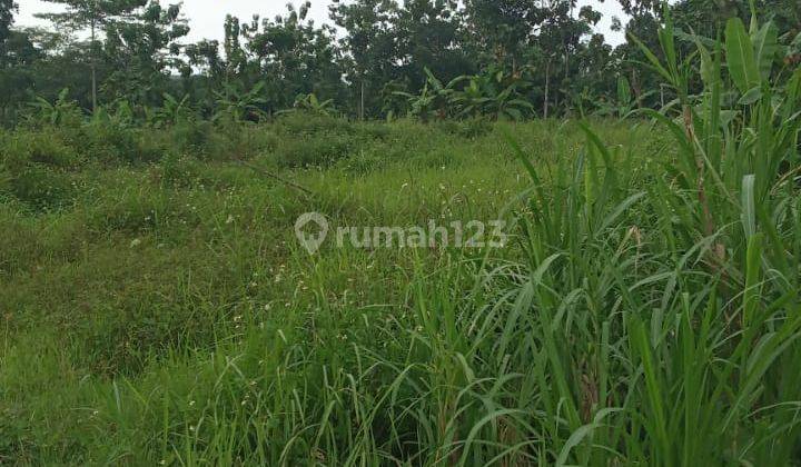 Dijual Tanah di Wonoplumbon Mijen Semarang  1