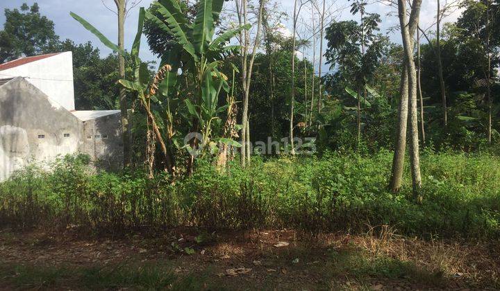 Dijual Tanah di Jalan Siwarak Desa Kandri Gunungpati Semarang  2