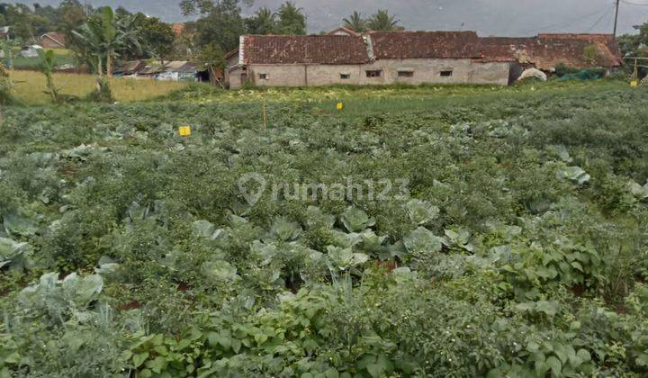 Dijual Tanah di Desa Cempakamulya Cimaung Bandung 2