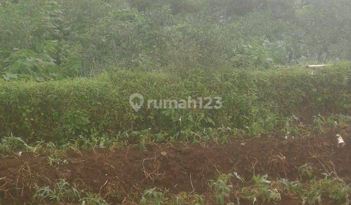 Dijual Tanah di Desa Cempakamulya Cimaung Bandung 4