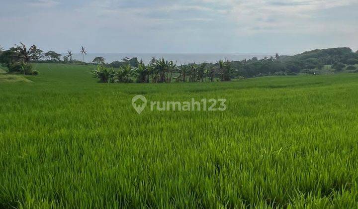 Tanah (SHM)  Eksklusif untuk Vila & Retret di Tabanan  1