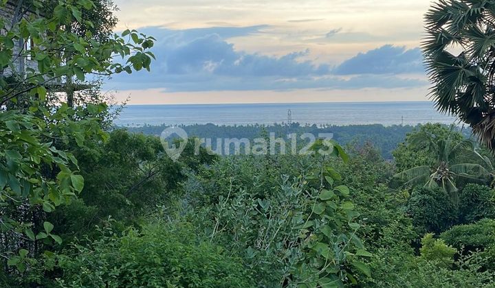Tanah 30 are di Lovina dekat pantai dan pusat perbelanjaan