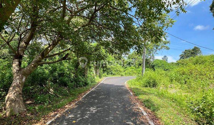 Great Land for Housing or Business Near Udayana University 2