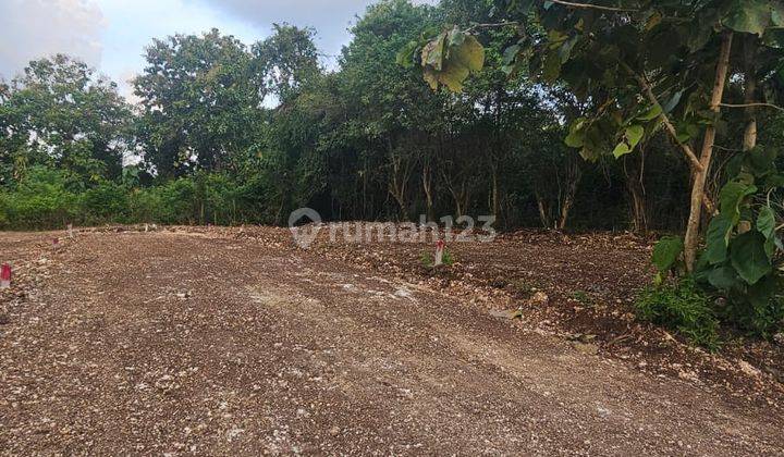 Lahan Strategis di Mumbul Estate Nusa Dua Hanya 200m dari Jalan Utama Lahan Strategis di Mumbul Estate Nusa Dua Hanya 200m dari Jalan Utama