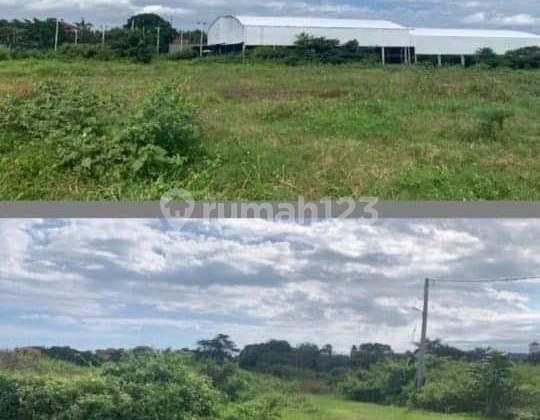 Tanah Cocok Untuk Komplek Perum Di Umalas (KTT) 3