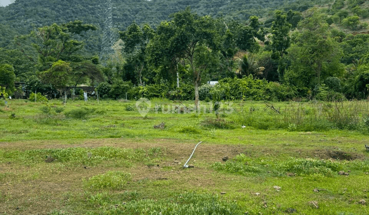 Land for sale on the main road of Buleleng, Gilimanuk 2