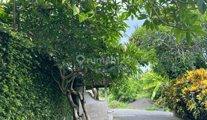 Strategic land for sale immediately only 5 minutes from Saba beach 2