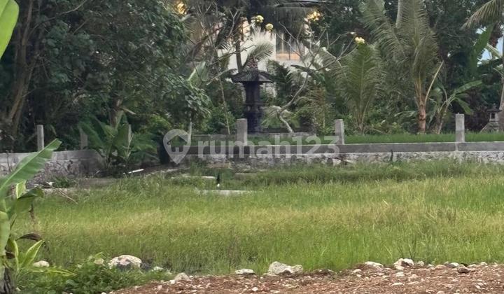 Tanah Luas Disewakan dengan Akses Jalan Utama 12 Meter Cocok untuk Villa / Restoran / Kawasan Bisnis Tanah Luas Disewakan dengan Akses Jalan Utama 12 Meter Cocok untuk Villa / Restoran / Kawasan Bisnis