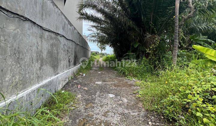 Tanah Luas Disewakan Area Pantai Lima Canggu 2
