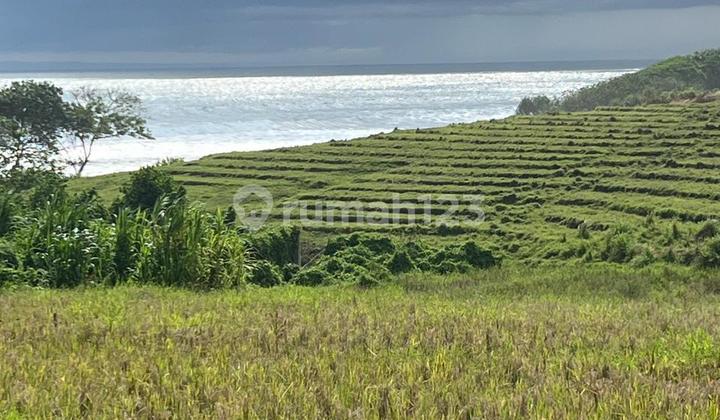 Tanah Premium View Laut & Sawah di Kelecung, Tabanan! Tanah Premium View Laut & Sawah di Kelecung, Tabanan!