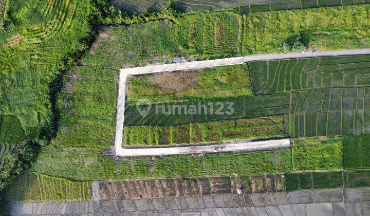 Tanah Lokasi Premium Impian untuk Villa –  dengan ROI Tinggi 1