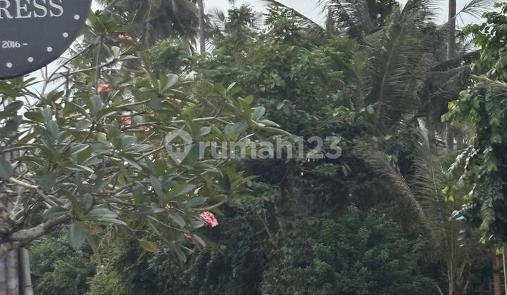 Tanah Luas Disewakan dengan Akses Jalan Utama 12 Meter Cocok untuk Villa / Restoran / Kawasan Bisnis Tanah Luas Disewakan dengan Akses Jalan Utama 12 Meter Cocok untuk Villa / Restoran / Kawasan Bisnis