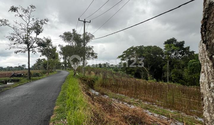 Lahan Utama Pantai Kelecung Tabanan - View Sawah & Pantai