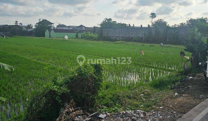 Di Jual Segera Lahan Kosong Dekat Terminal Mengwi 2