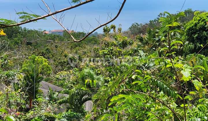 Lahan Freehold Seaview Pecatu Uluwatu 1.411 M²