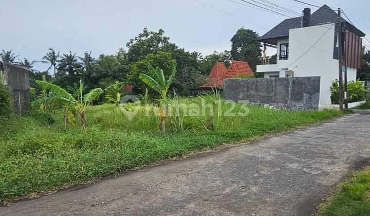 Land 23.8 Are Kedungu Tabanan with Rice Field View