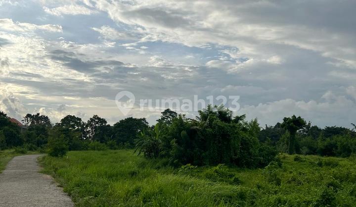 Premium land in Kedungu Tabanan, 400 meters from the beach Premium land in Kedungu Tabanan, 400 meters from the beach