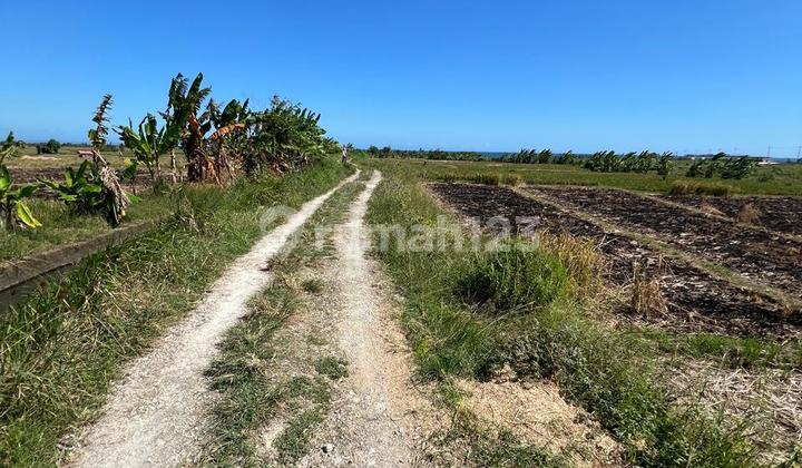 Sold: Pink Zone Land with Rice Field & Ocean View - Pasut Beach, Tabanan Sold: Pink Zone Land with Rice Field & Ocean View - Pasut Beach, Tabanan