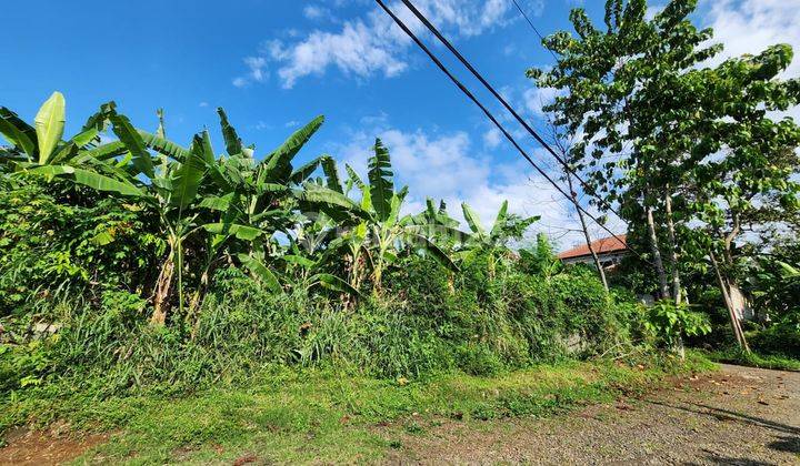 Dijual Kavling Hoek Di Pamoyanan Hijau Bogor 2