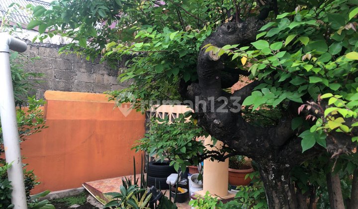 Dijual Rumah Luas di Pendongkelan Kapuk Jakarta Barat 2