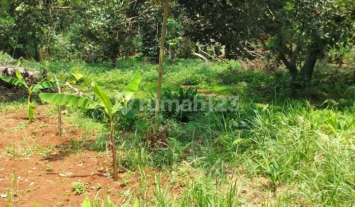 Dijual Tanah Kebun Dekat Tol di Cibening Setu Bekasi