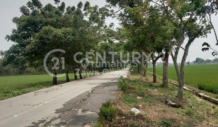 Dijual Cepat Tanah Utk Perumahan Dibekasi Hadap Selatan Strategis 2