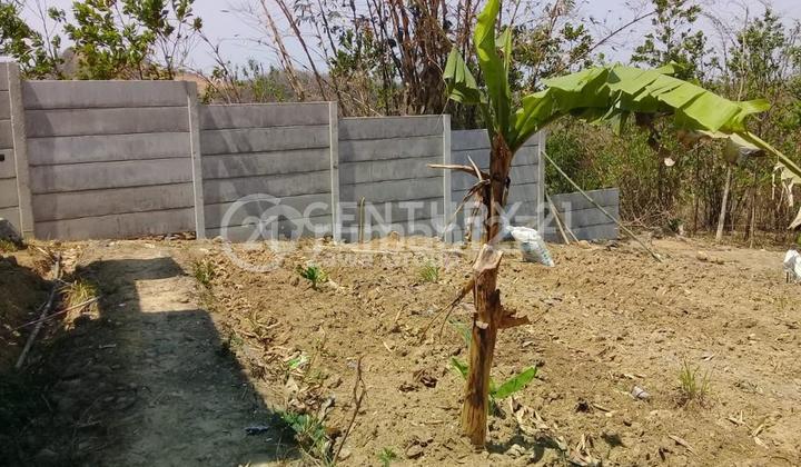 Dijual Tanah Kavling Cocok Untuk Wisata Dan Villa Jonggol Bogor 2