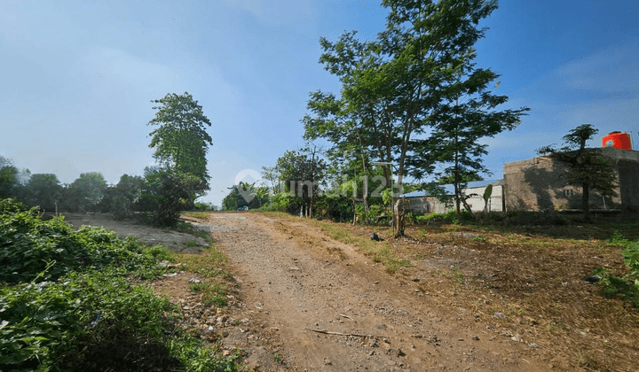  Tanah Jatinangor SHM 1 Km An Dari Kampus Ikopin  2