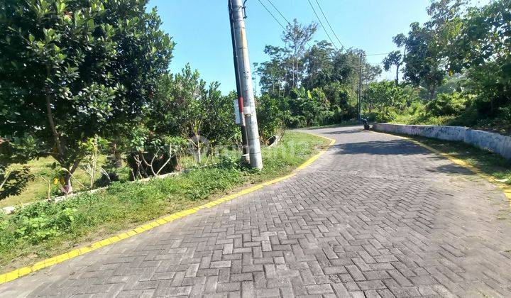  Tanah Jogja Dekat Sekolah Budi Mulia 2 Maguwoharjo SHM 2