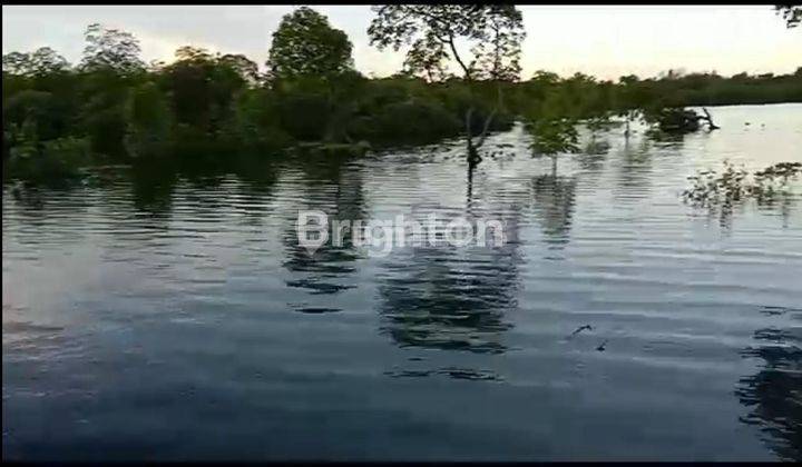 TANAH PINGGIR LAUT IKN 1