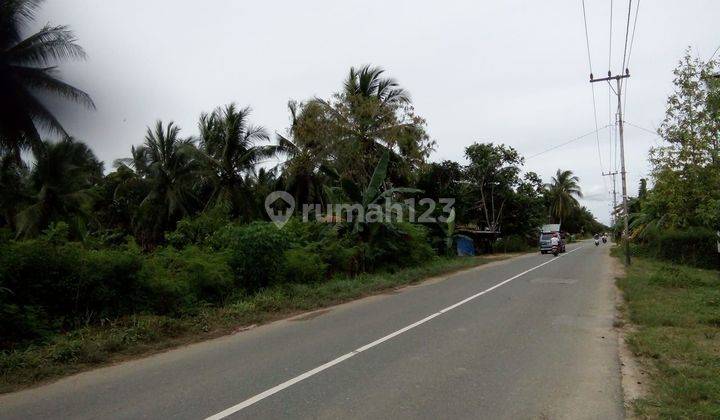 TANAH SHM DEPAN JALAN POROS IKN 1