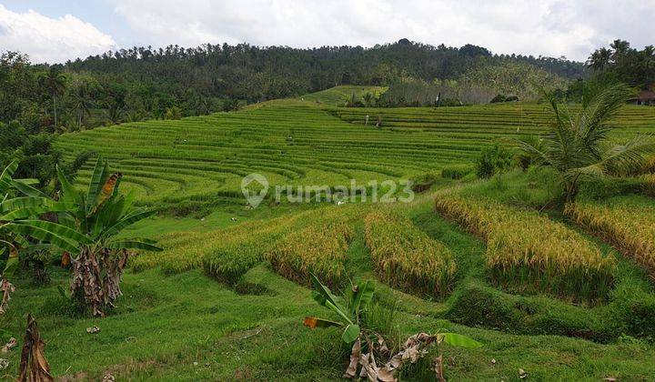 Tanah Kosong Lokasi Area Echo Wisata Gunung Salak Tabanan 1