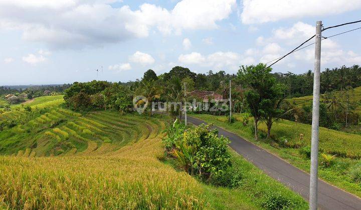 Tanah Kosong Lokasi Area Echo Wisata Gunung Salak Tabanan 2