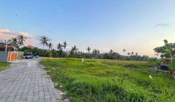 Tanah Siap Bangun View Sawah Dekat Pantai Tanah Lot 2