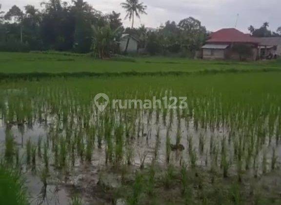 Tanah di Sarilamak Payakumbuh , Payakumbuh 8.000 m² 2