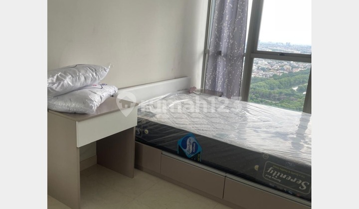 For Rent Gold Coast Apartment 1 Bedroom Fully Furnished Ready View Mangrove