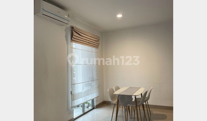 For Quick Sale: Springville Cluster PIK 2, Size 6x10, AJB Certificate.