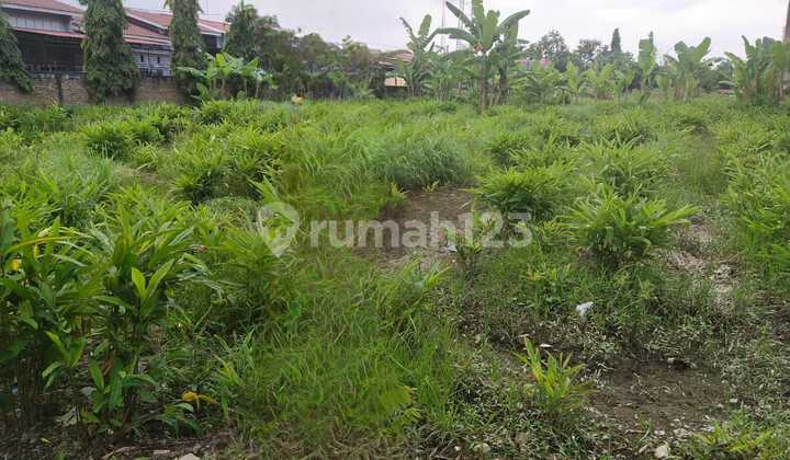 Dijual Tanah Dekat Kampus Ptki Sertifikat Hak Milik Dijual Tanah Dekat Kampus Ptki Sertifikat Hak Milik