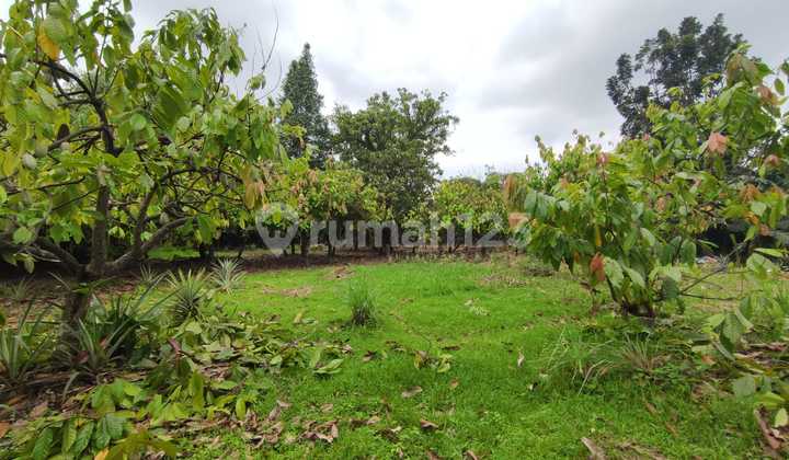 Dijual Tanah 4300 M Pinggir Jalan Utama Sertifikat Hak Milik