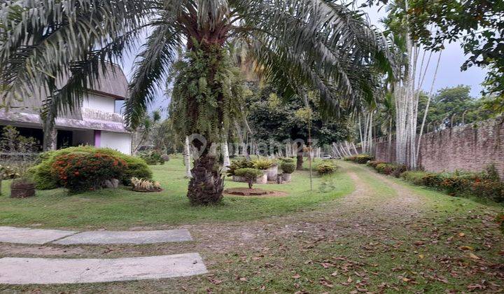 Di Jual Tanah Gratis Rumah Dan Kebun Sawit 5