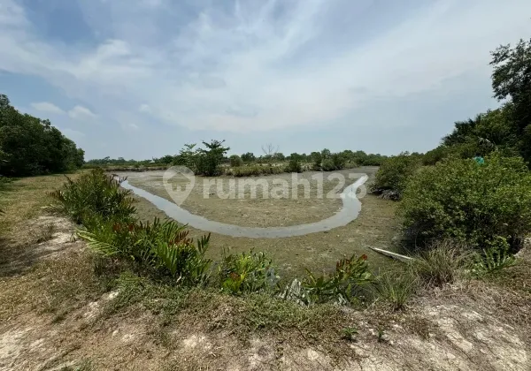 Dijual Tanah Ex Tambak ikan Area sangat Luas