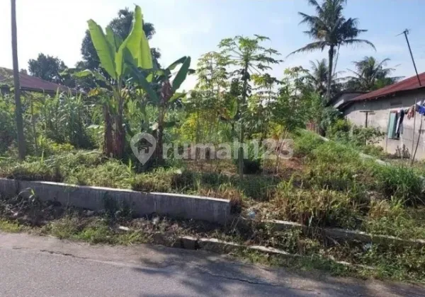 Dijual Tanah Murah Sei Mencirim Cocok untuk Bangun Rumah Dijual Tanah Murah Sei Mencirim Cocok untuk Bangun Rumah
