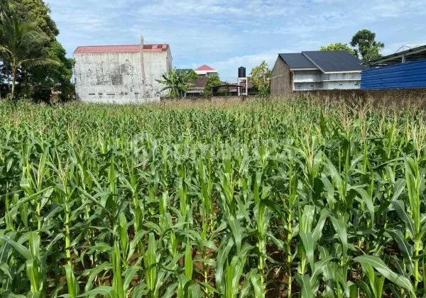 Dijual Tanah Murah Strategis di Medan Johor