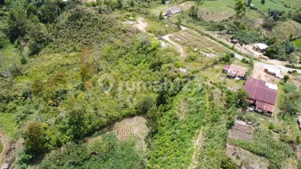 Dijual Tanah Luas Ex - Gudang Murah di Samosir Dijual Tanah Luas Ex - Gudang Murah di Samosir