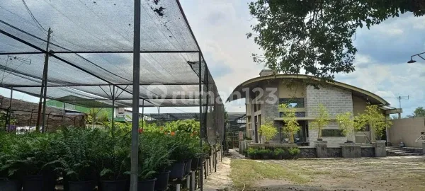 Beautiful Villa with Flower Garden for Sale in Jamin Ginting Beautiful Villa with Flower Garden for Sale in Jamin Ginting