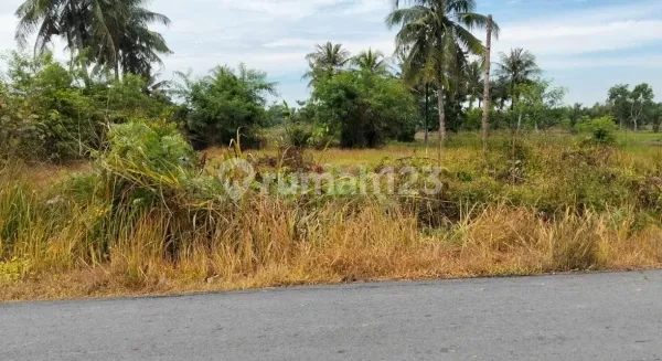 Dijual Lahan Luas SHM di Batang Kuis dekat arah Pantai Labu