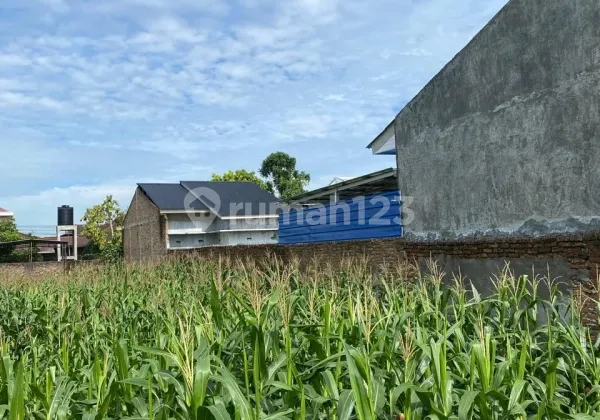 Dijual Tanah Murah Strategis di Medan Johor